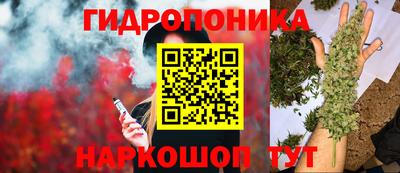 Альфа ПВП Новозыбков