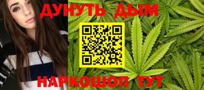 Альфа ПВП Новозыбков