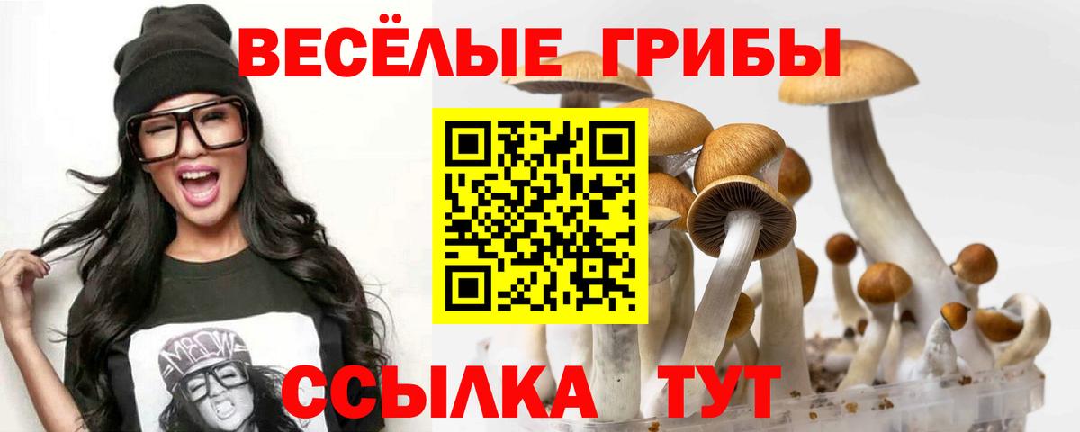 Чайковский  Галлюциногенные грибы ЛСД  Вход с VPN 
